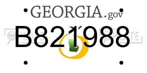B821988 Georgia License Plate