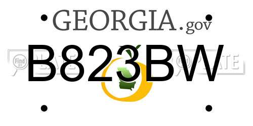 B823BW Georgia License Plate