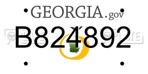 B824892 Georgia License Plate
