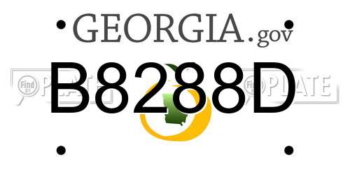 B8288D Georgia License Plate