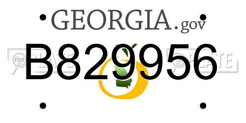 B829956 Georgia License Plate