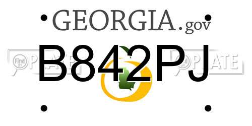 B842PJ Georgia License Plate