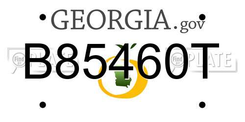 B85460T Georgia License Plate