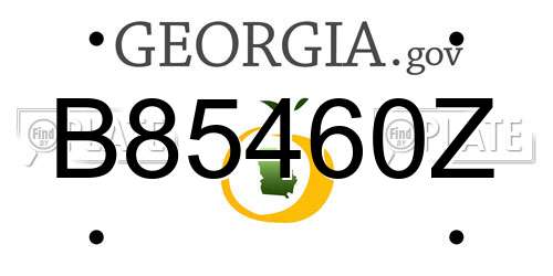 B85460Z Georgia License Plate