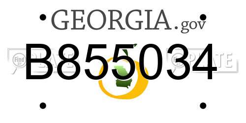 B855034 Georgia License Plate