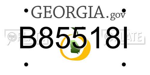B85518I Georgia License Plate