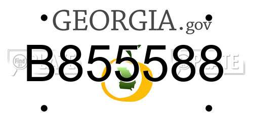 B855588 Georgia License Plate