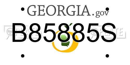 B85885S Georgia License Plate