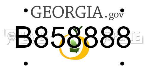 B858888 Georgia License Plate