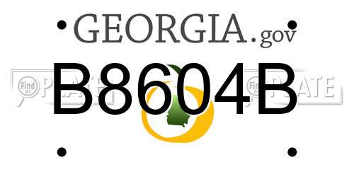 B8604B Georgia License Plate