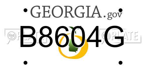 B8604G Georgia License Plate