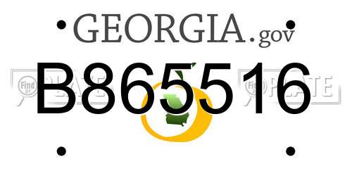 B865516 Georgia License Plate