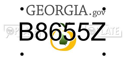 B8655Z Georgia License Plate
