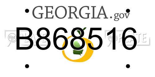 B868516 Georgia License Plate
