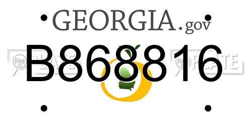 B868816 Georgia License Plate