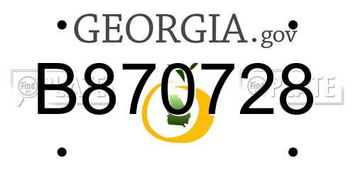 B870728 Georgia License Plate