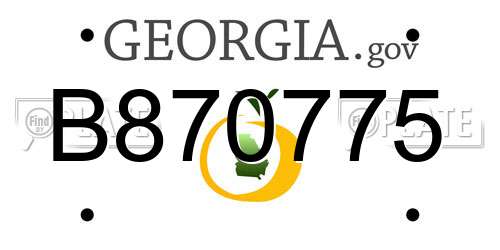 B870775 Georgia License Plate