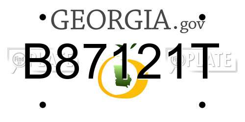 B87121T Georgia License Plate
