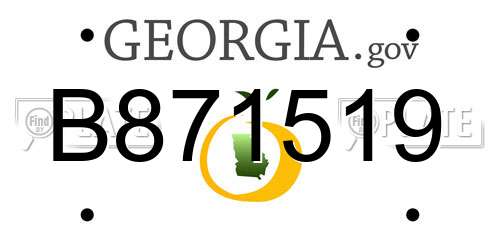 B871519 Georgia License Plate
