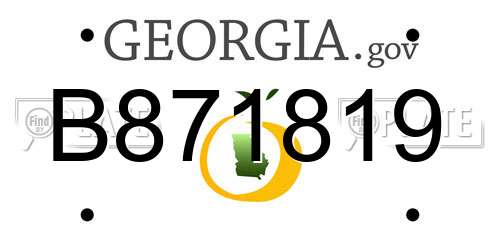 B871819 Georgia License Plate