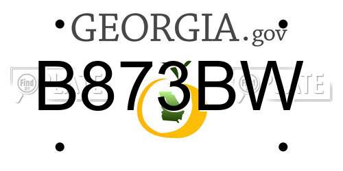 B873BW Georgia License Plate