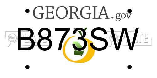 B873SW Georgia License Plate