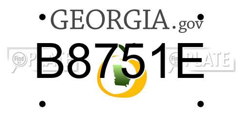 B8751E Georgia License Plate