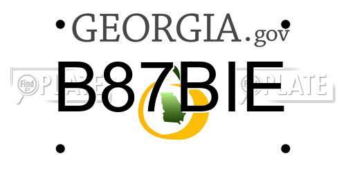 B87BIE Georgia License Plate