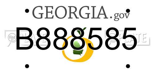B888585 Georgia License Plate