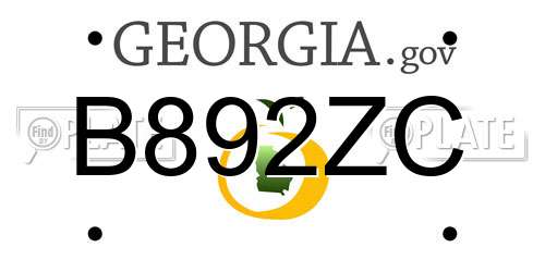 B892ZC Georgia License Plate