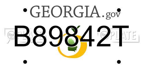 B89842T Georgia License Plate