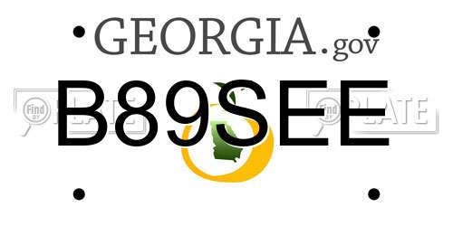 B89SEE Georgia License Plate