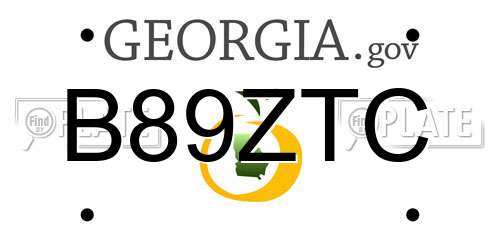 B89ZTC Georgia License Plate