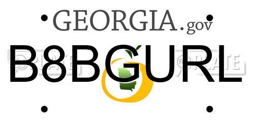 B8BGURL Georgia License Plate