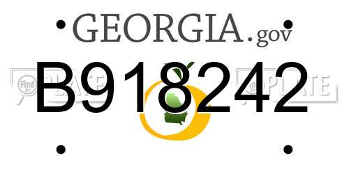 B918242 Georgia License Plate
