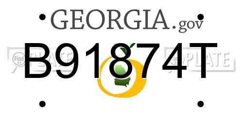 B91874T Georgia License Plate