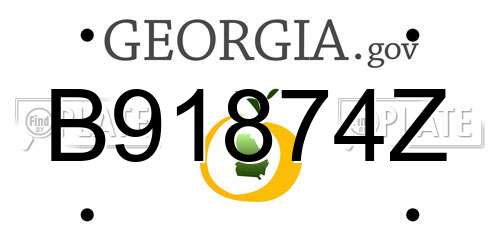 B91874Z Georgia License Plate