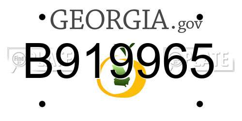 B919965 Georgia License Plate