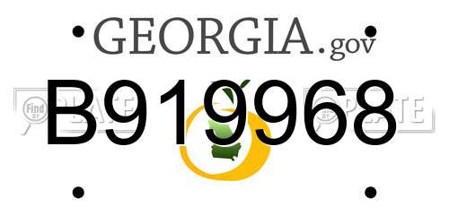 B919968 Georgia License Plate