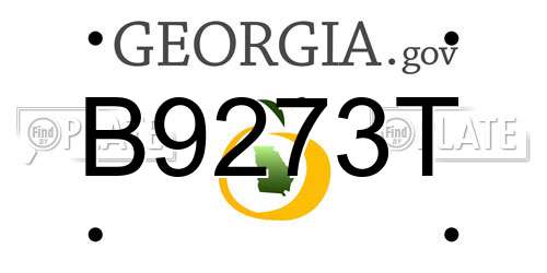 B9273T Georgia License Plate