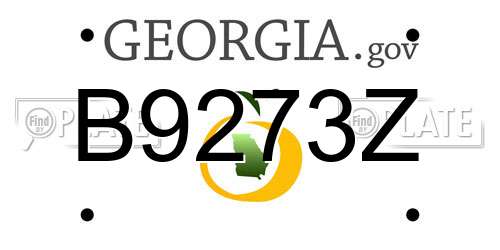 B9273Z Georgia License Plate