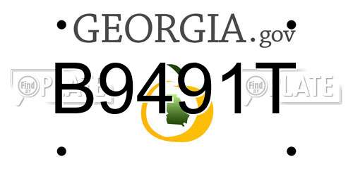 B9491T Georgia License Plate