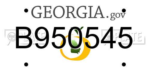 B950545 Georgia License Plate