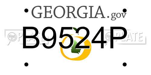B9524P Georgia License Plate