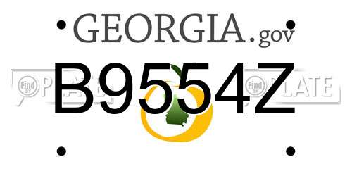 B9554Z Georgia License Plate