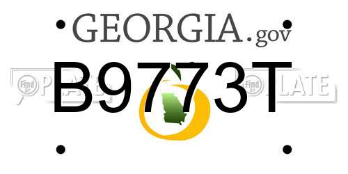 B9773T Georgia License Plate