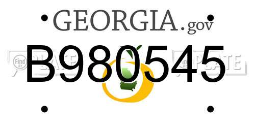 B980545 Georgia License Plate