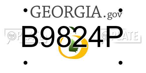 B9824P Georgia License Plate