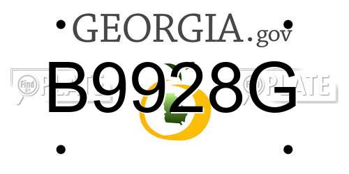 B9928G Georgia License Plate