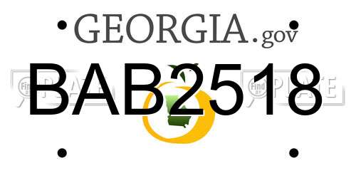 BAB2518 Georgia License Plate